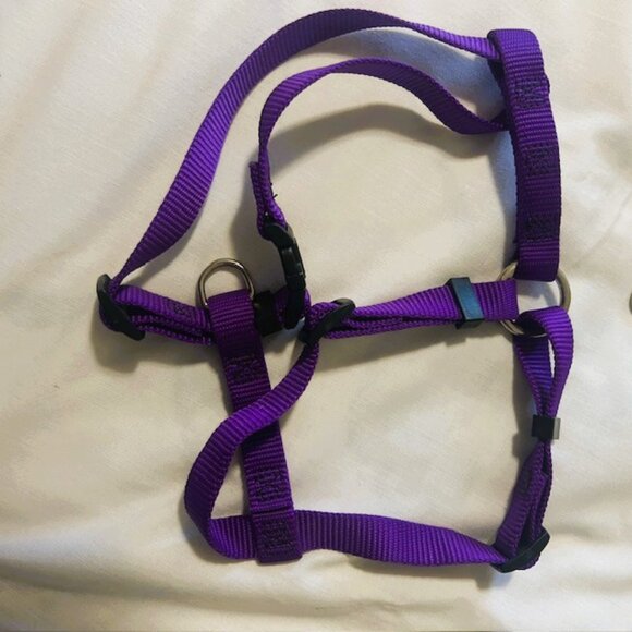 Dog Harness and Leash Unbranded Purple Medium Adjustable - Picture 2 of 5